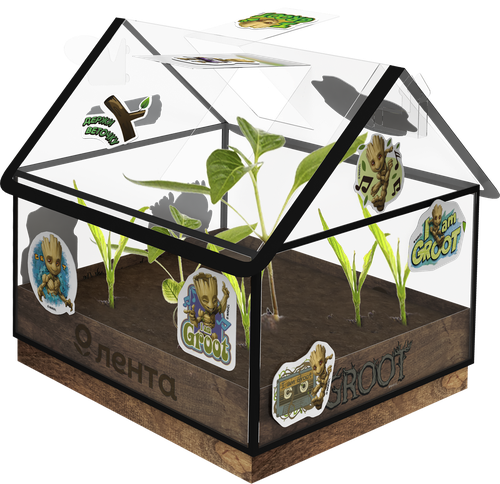 

Набор для выращивания Вырасти с Лентой 2