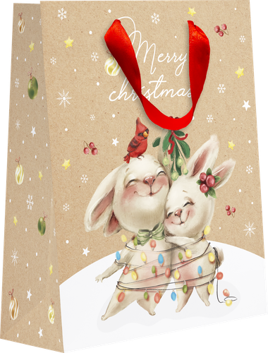 

Пакет подарочный Magic, крафт, 23х18х10см Арт. KM, в ассортименте