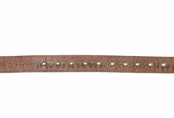 Джунгли Ошейник для собак крупных пород универсальный 60x3,5 см