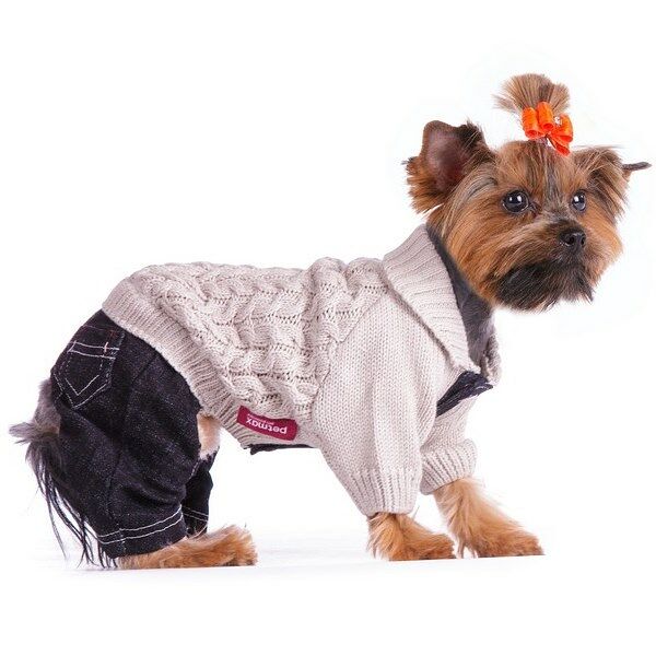 Свитер со штанами для собак 23см S серый (унисекс)