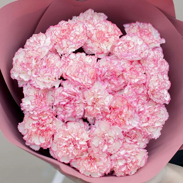 Букет из 25 гвоздик в розовых тонах