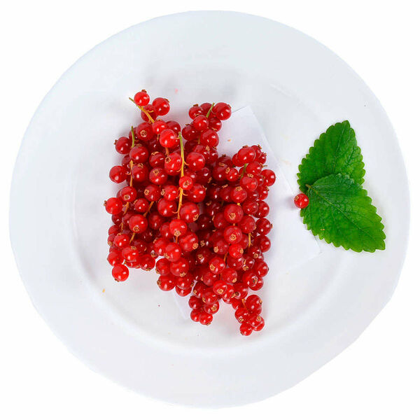 Красная смородина Artfruit