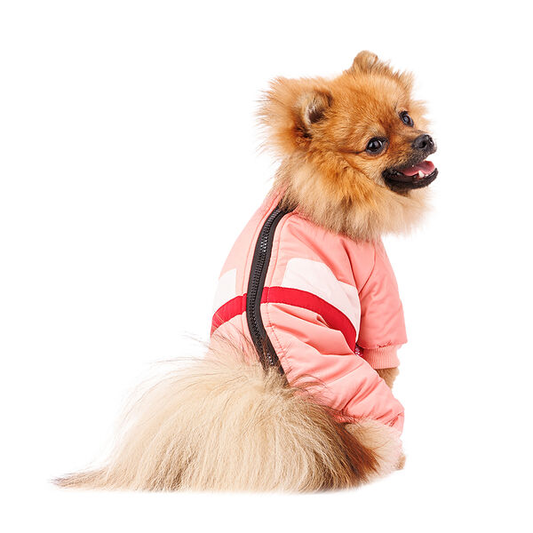 Комбинезон на молнии для собак XL розовый (девочка)