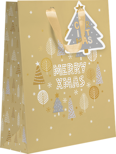 

Пакет подарочный X-mas, евролюкс, 23x19x9см, Арт. ML, в ассортименте