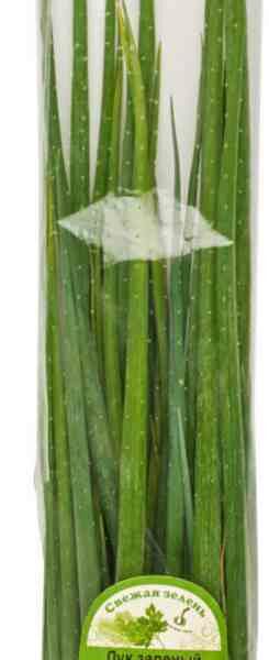 Лук зеленый