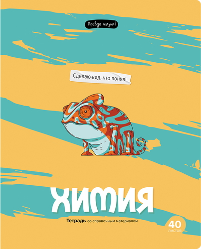 

Тетрадь BG Правда жизни Химия, 40 листов, Арт. ТП5ск40 12206