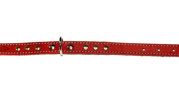 Ошейник Аркон для собак мелких пород, 26-34х1.6 см, красный