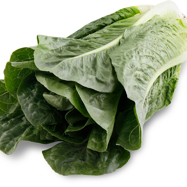 Салат свежий Ромейн