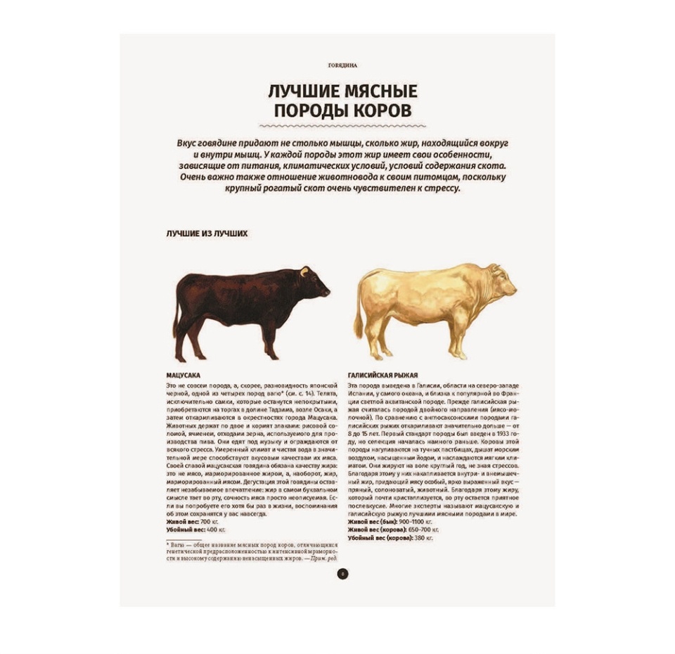 

Мясо. Полное иллюстрированное руководство. Артюр Ле Кен