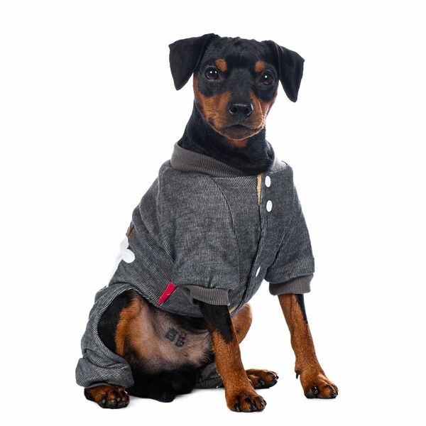 Костюм для собак M серый (унисекс)