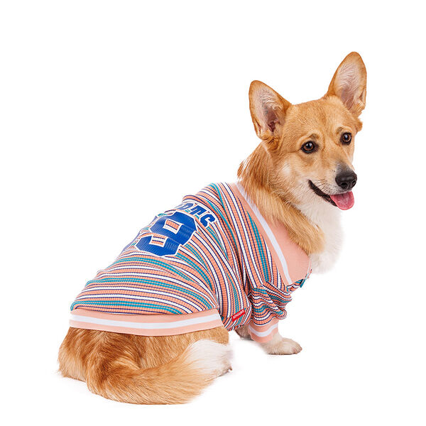 Футболка для собак Petmax Sports 89, 3XL персиковый (унисекс)