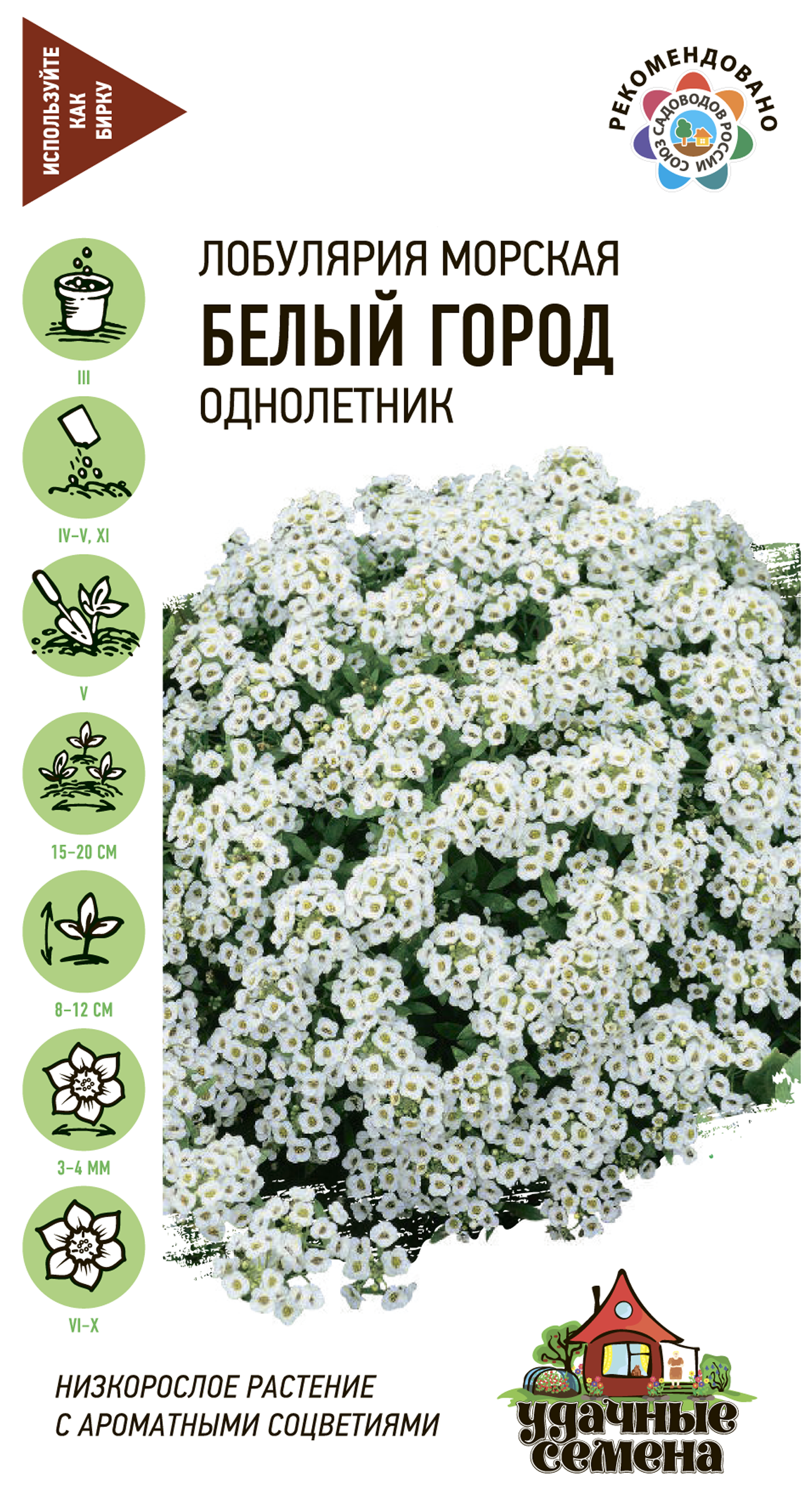 

Семена УДАЧНЫЕ СЕМЕНА Лобулярия морская Белый город, 0,05г