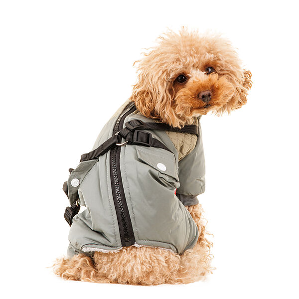 Комбинезон на молнии со шлейкой для собак XS зеленый (унисекс)