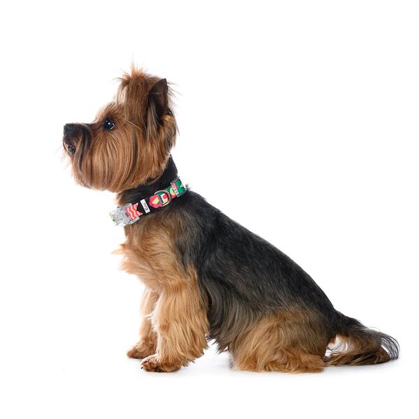 Ошейник зелено-малиновый 15мм размер S