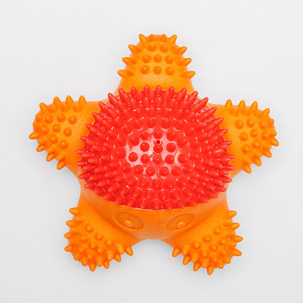 Игрушка для собак Rurri Морская звездочка