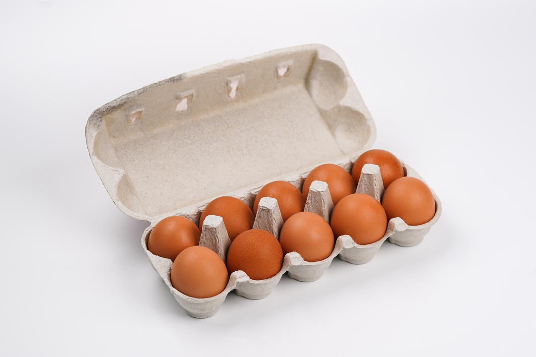 

Яйца куриные С0 10 шт