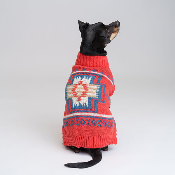 Petmax Свитер оранжевый с узором L