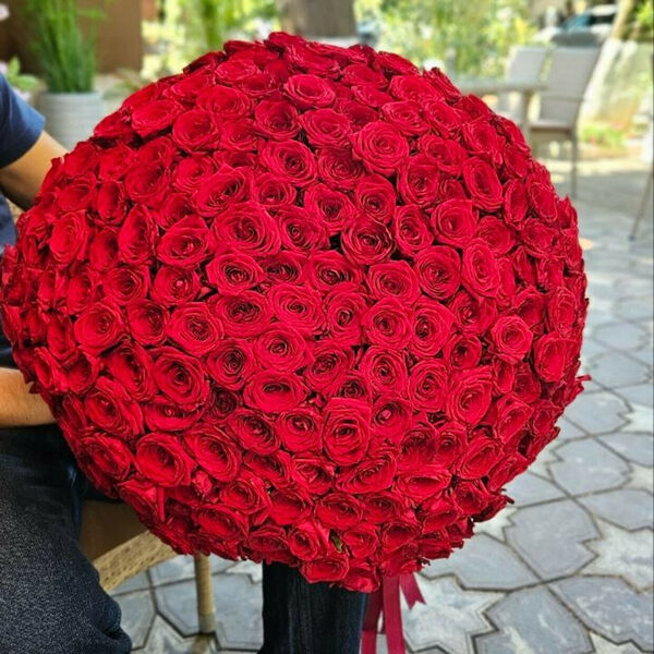 Букет из 251 красной розы