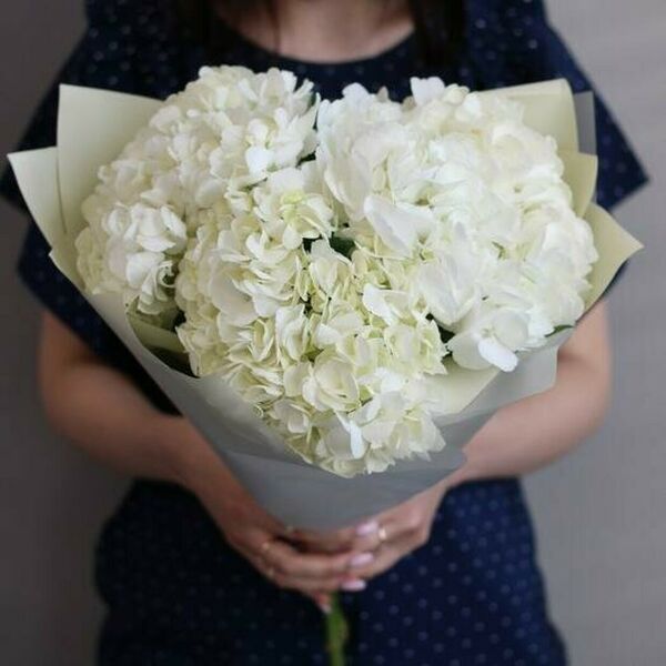 Букет из 3 белых гортензий