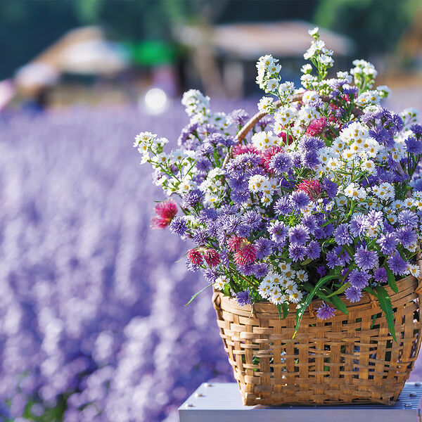 Пазл-игра 500 элементов А2ф 480х330мм Нежнее нежного 500ПЗ2_27102