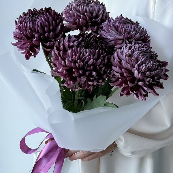 Сумеречный Лиловый