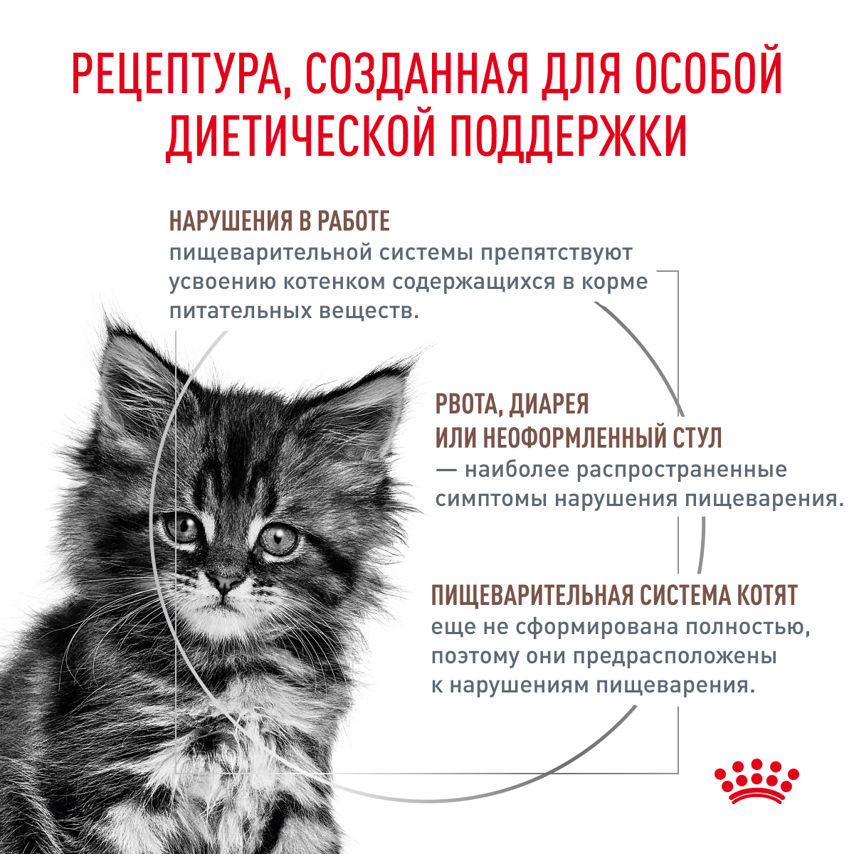 

Корм сухой Royal Canin Veterinary Gastrointestinal для котят от 2 до 10 месяцев при нарушениях пищеварения 0.4 кг