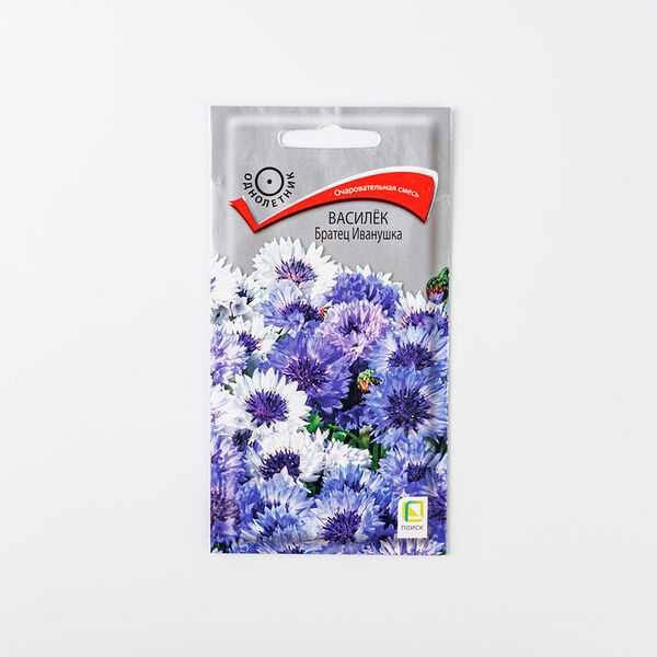 Семена Поиск Василек 
