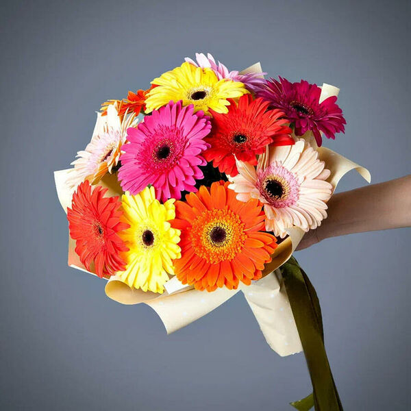 Монобукет из 11 гербер в упаковке