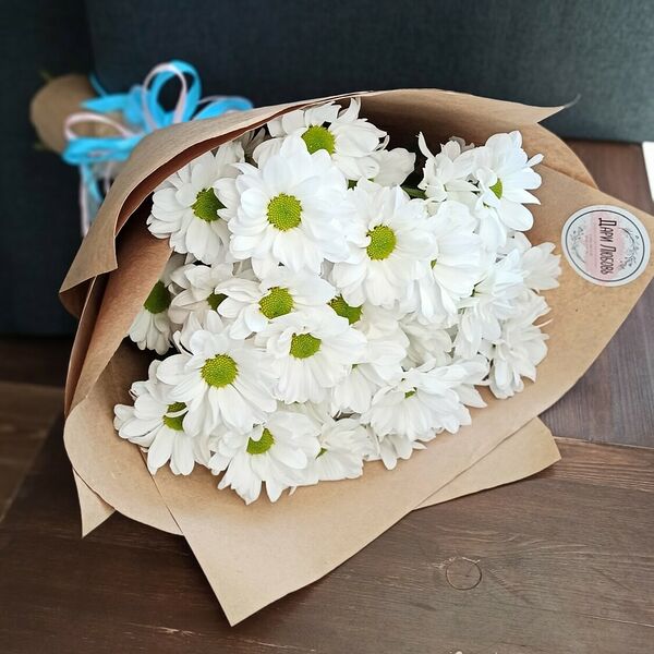 Хризантема как ромашка 5