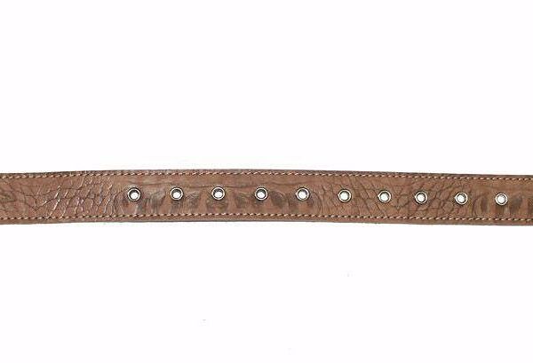 Джунгли Ошейник для собак крупных пород универсальный 60x3,5 см