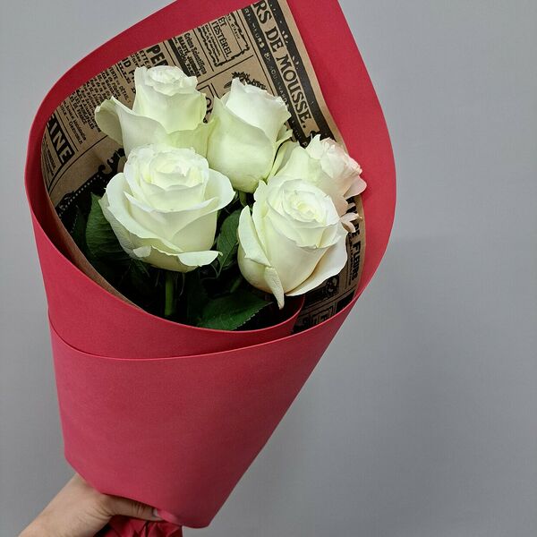 5 белых роз Эквадор в яркой упаковке