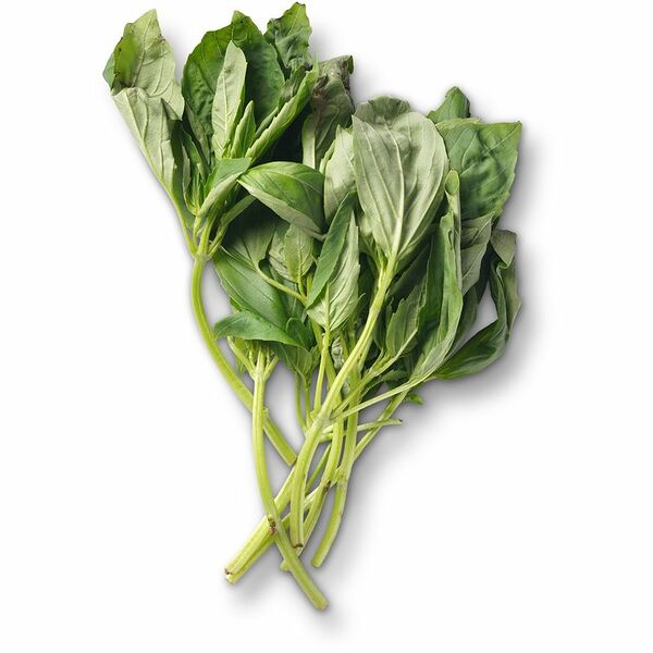Базилик зелёный Маркет Fresh