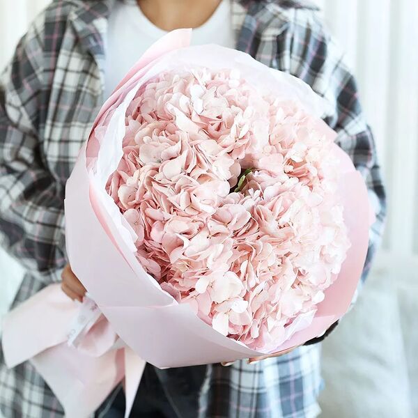 Букет из 5 розовых гортензий в розовой круглой упаковке