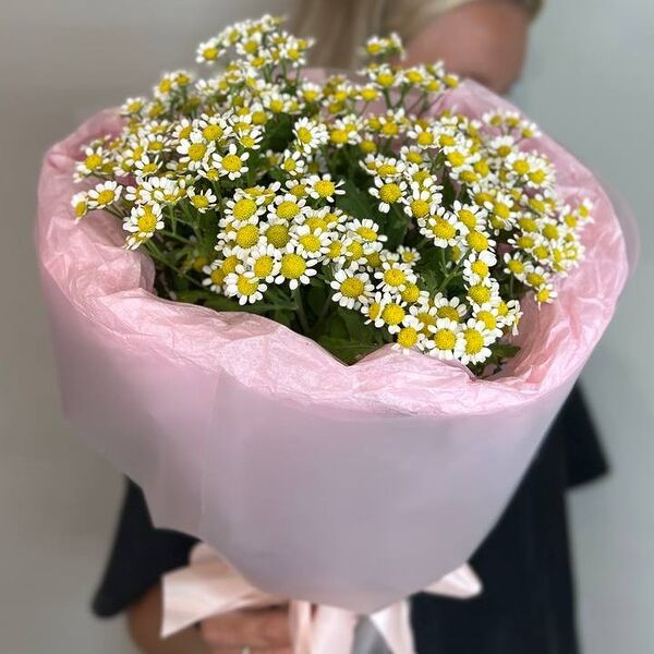 Букет из полевых ромашек Матрикария