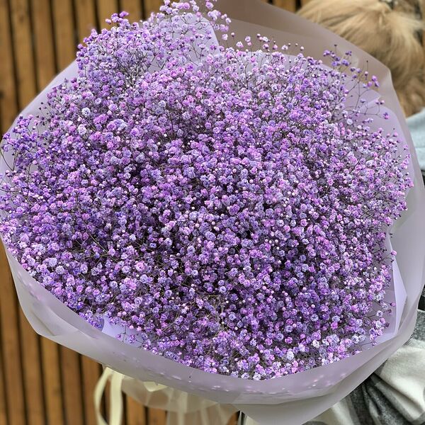 Букет из фиолетовых гипсофил