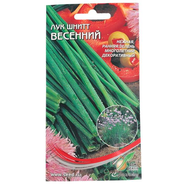 Семена лук шнитт Весенний