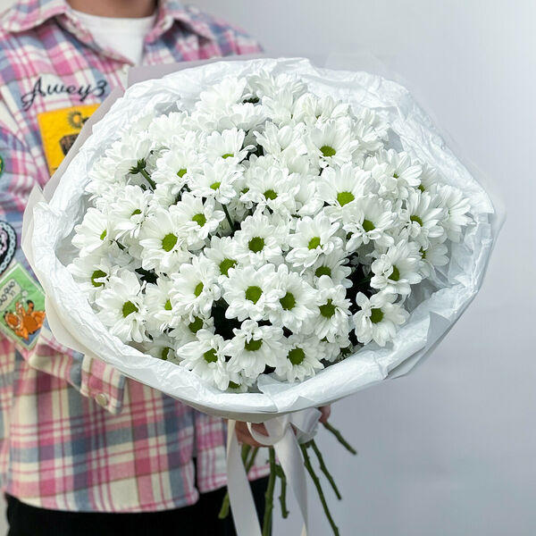 Нежный белый букет кустовых хризантем в упаковке (Размер М)