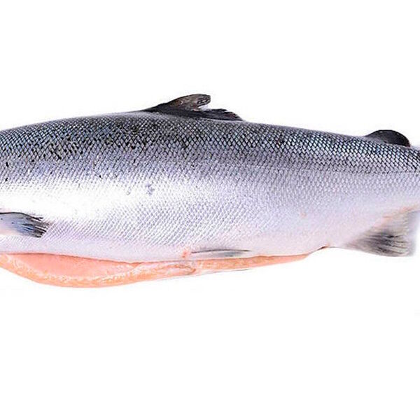 Лосось Ррк потрошенный с головой Чили свежемороженый