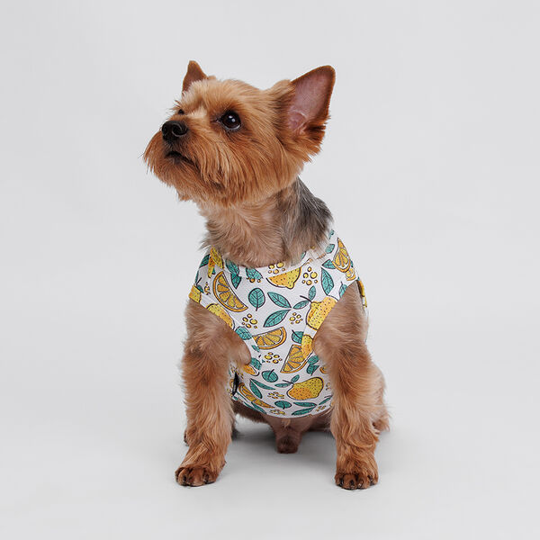 Футболка Rurri зелено-желтая с принтом XS