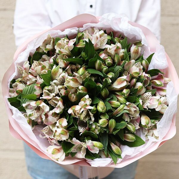 Букет из 25 розовых альстромерий в розовой круглой упаковке