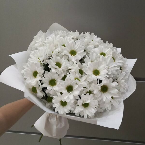 Белоснежная ромашка