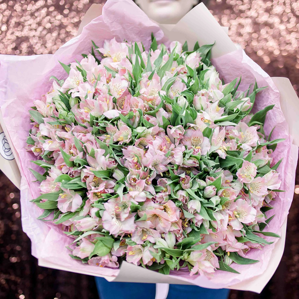 Букет из 51 розовой альстромерии в кремовой пленке