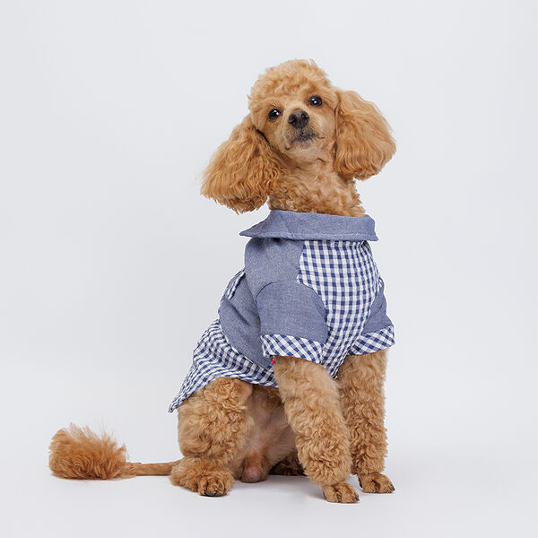 Petmax Рубашка синяя в клетку L