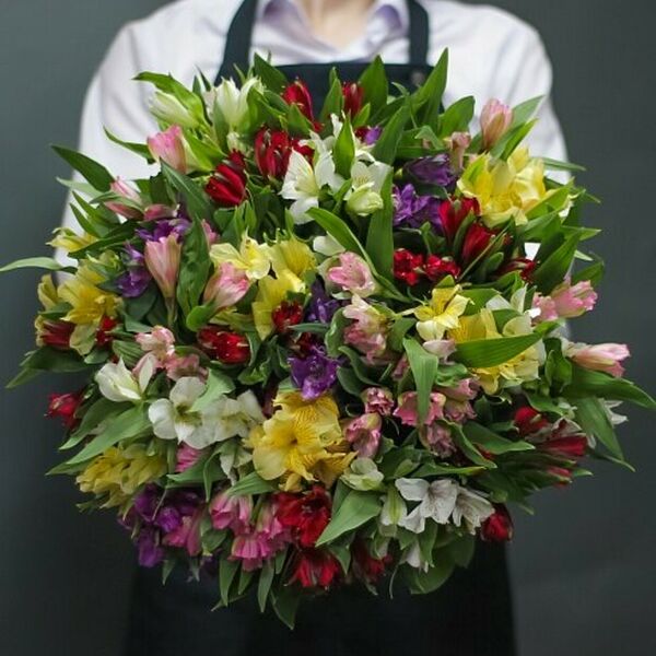 Букет 51 альстромерия микс