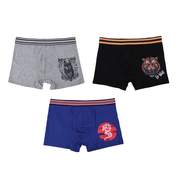 Galante трусы-боксеры мужские с принтом р.50-56, 95%хлопок, 5%спандекс, 3 дизайна,нб23-16