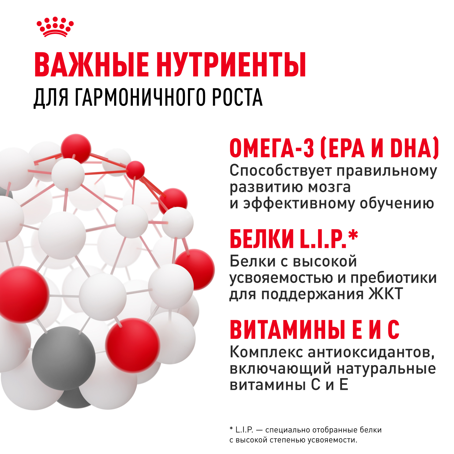 

Корм сухой для щенков мелких пород в возрасте до 10 месяцев Royal Canin Mini Puppy 4 кг