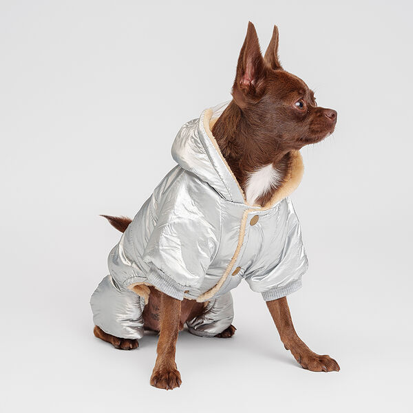 Комбинезон с капюшоном для собак, M, серебряный (мальчик)