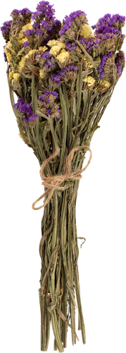 

Изделие декоративное КОЛХОЗ ЛУЧ Статица