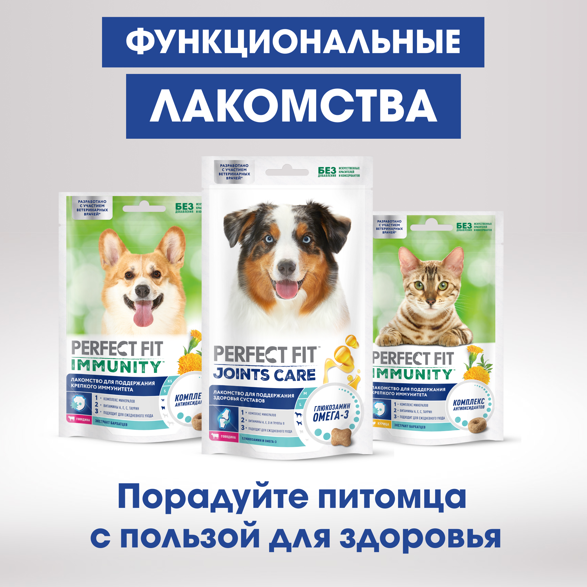 

Лакомство Perfect Fit Immunity для собак, говядина с добавлением экстракта бархатцев 90 г