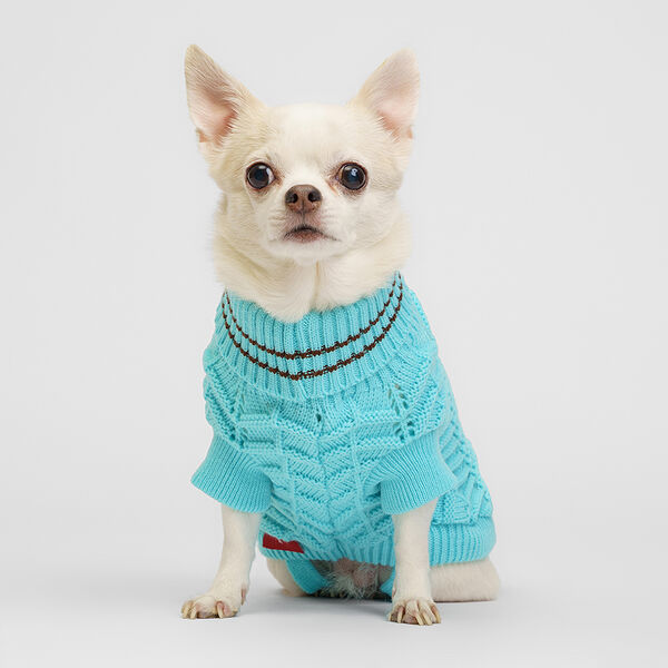 Свитер для собак Petmax, S, голубой